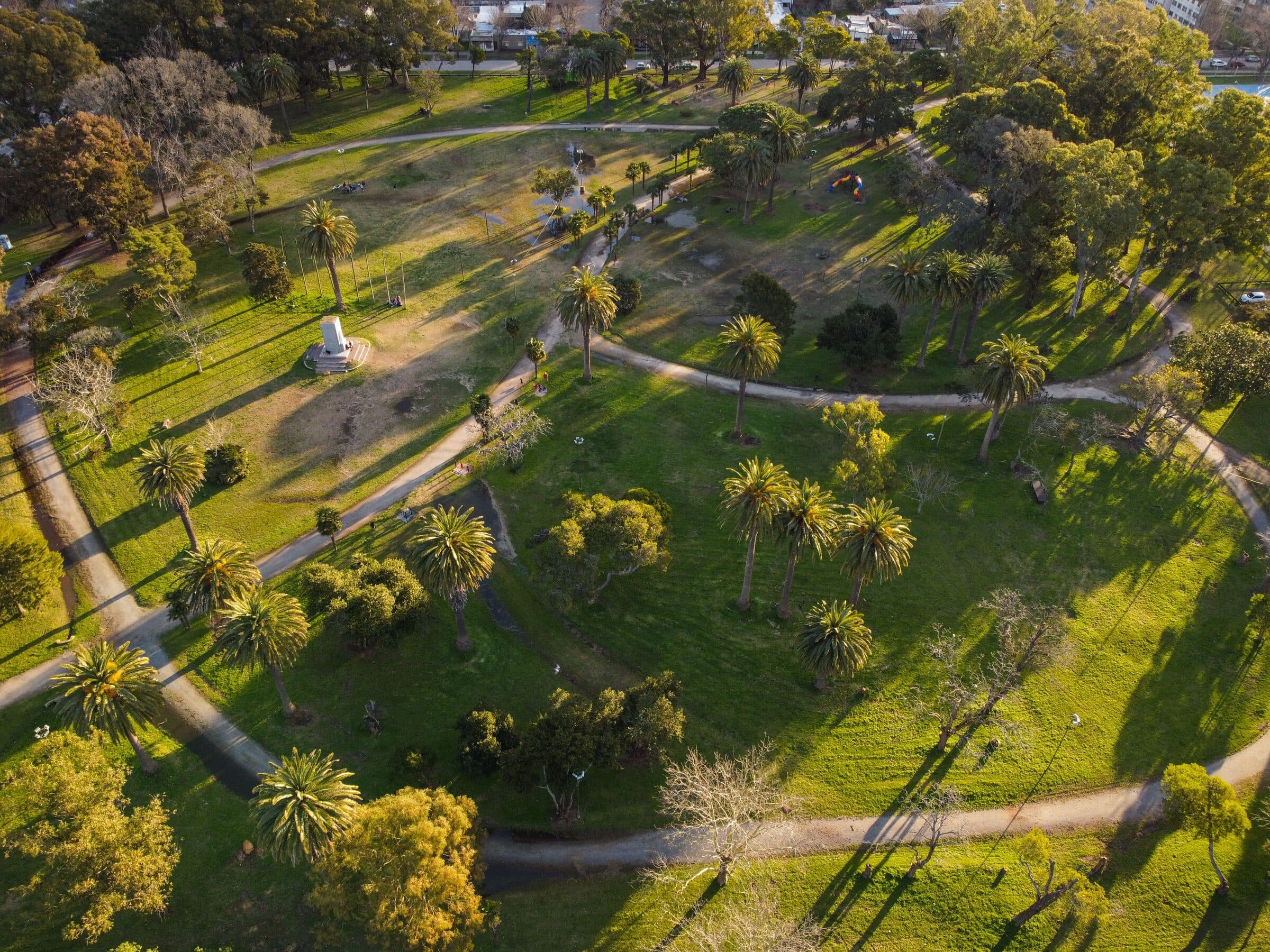 Aerial view of a sunlit park with palm trees, open lawns and winding walking paths.